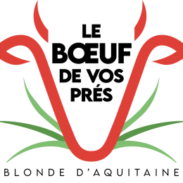 Recettes boeuf